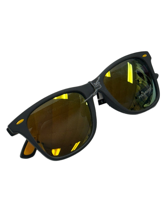 SUNGLASSES 8732-73