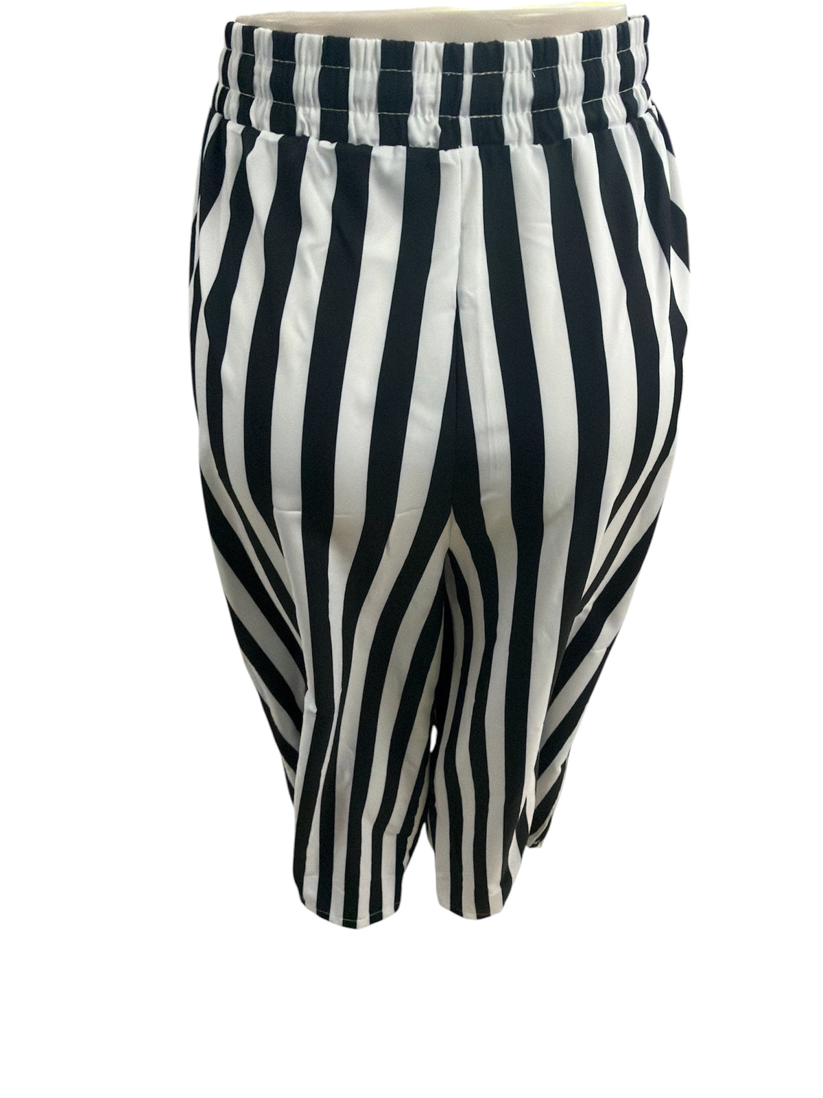 STRIPE CASUAL PANTS SE26MRY627B