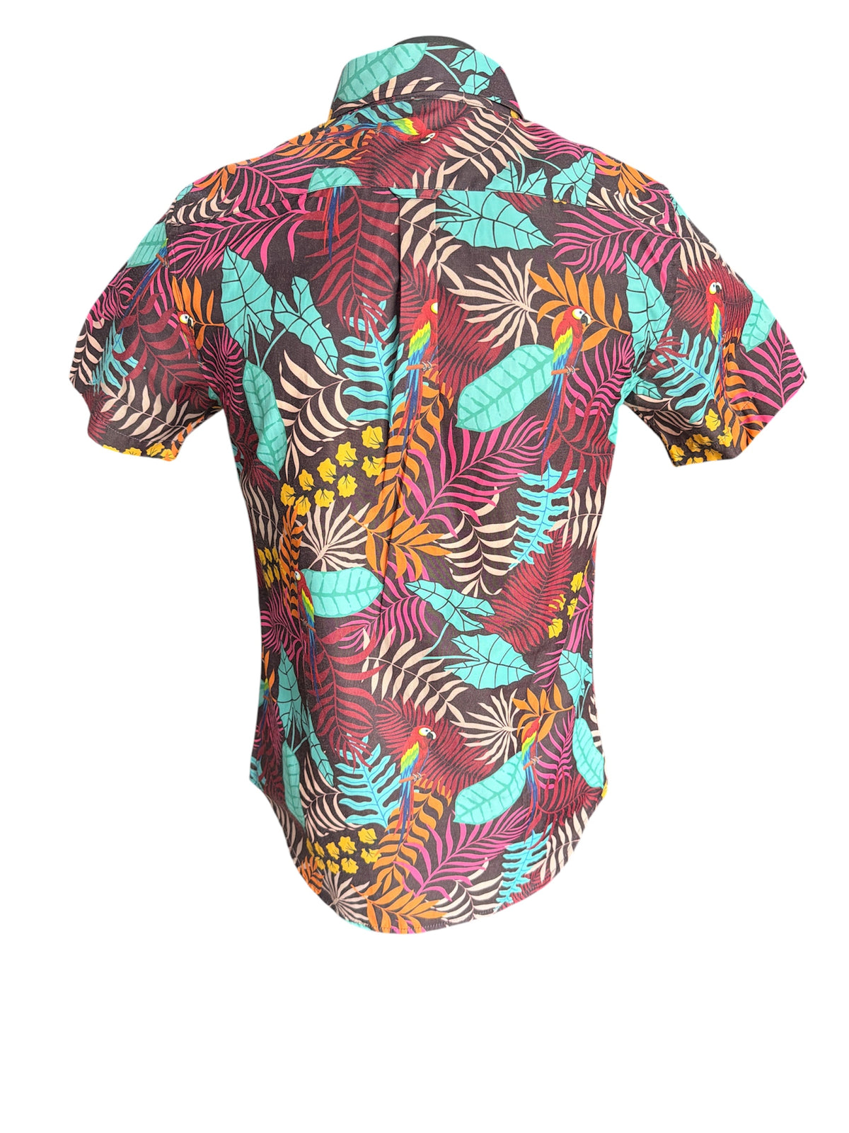 AHOY SHIRT AY-6066