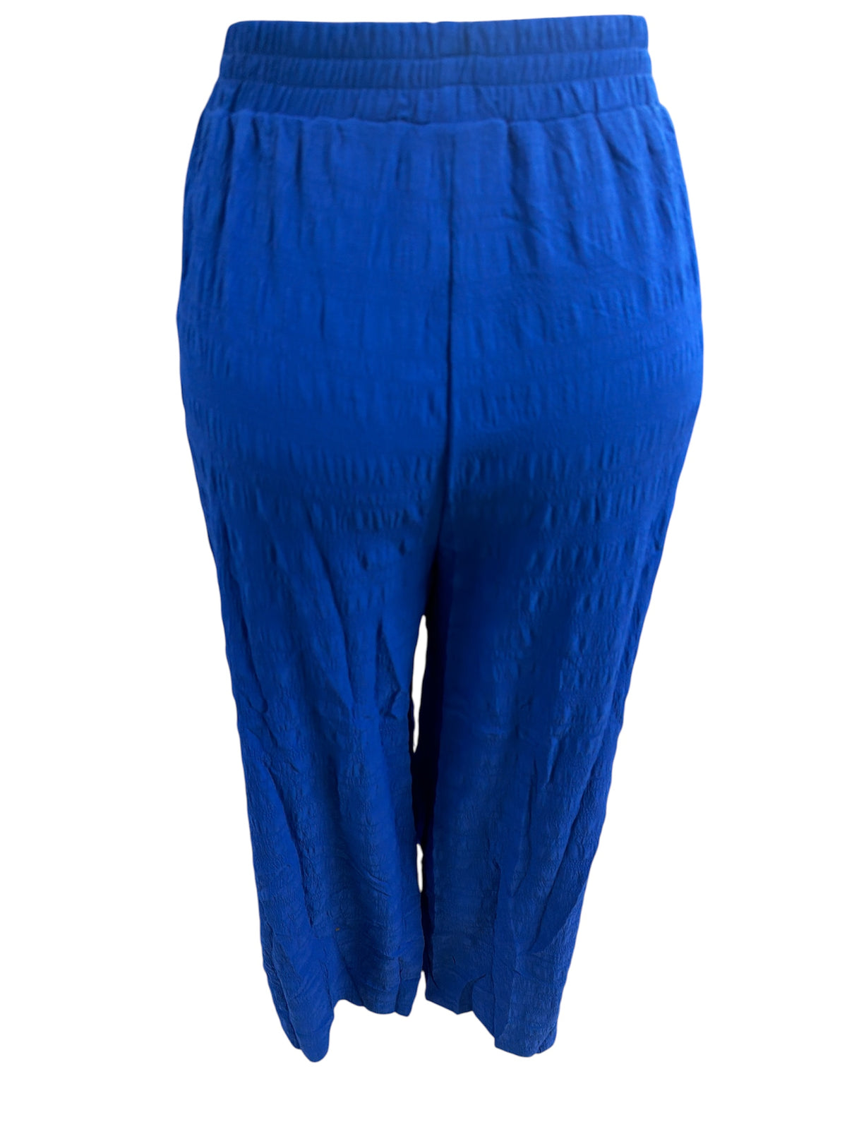 TEXTURED SOLID PANTS LC7712404